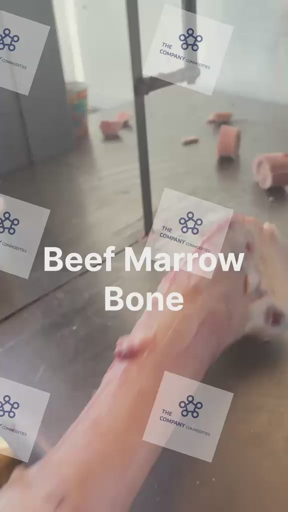 Bone Marrow